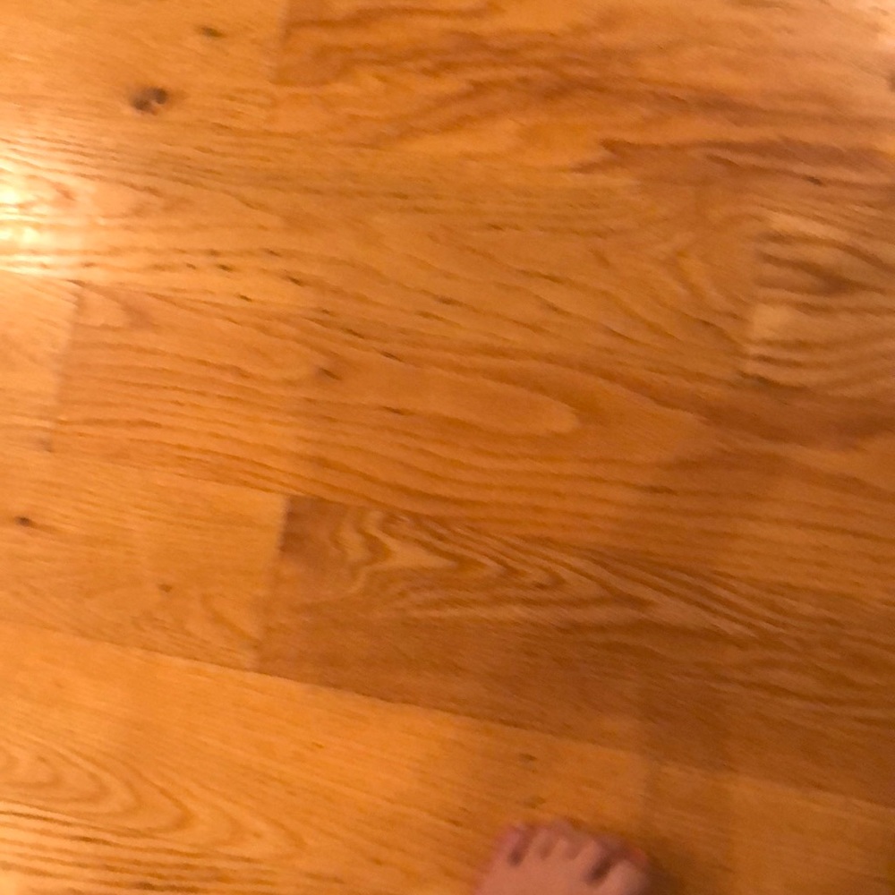 Meet your Posher, Clara